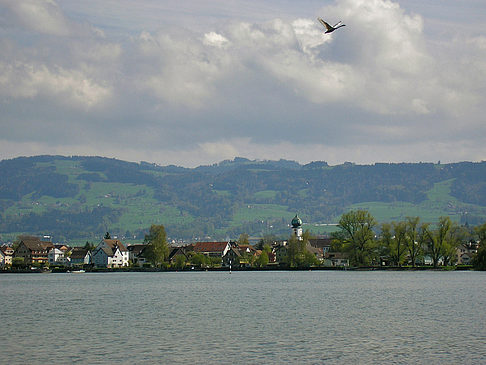 Schweizer Bodensee Fotos